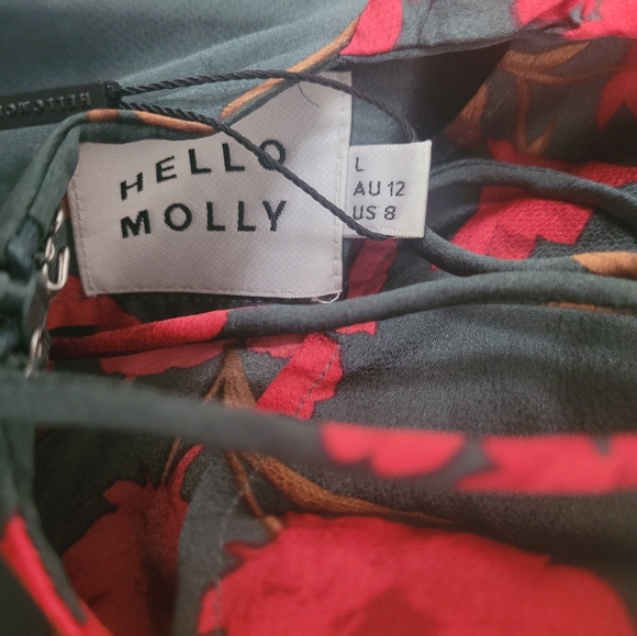 NWT Hello Molly Teal and Red Floral Midi Dress - Picture 2 of 7